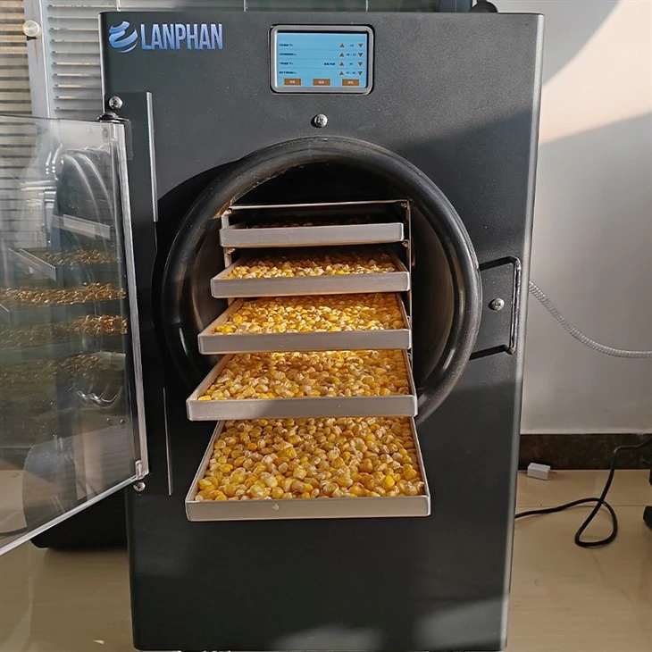 Residential Freeze Dryer best